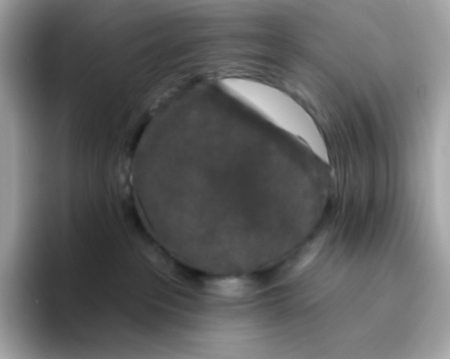 X0000094790237200711301612