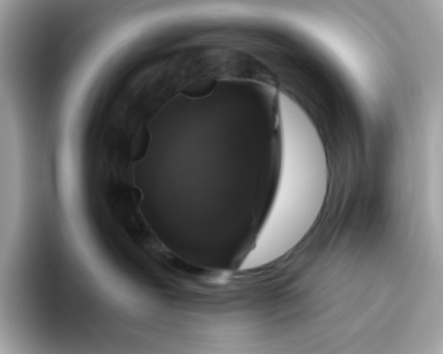 X0000094790239200711301612