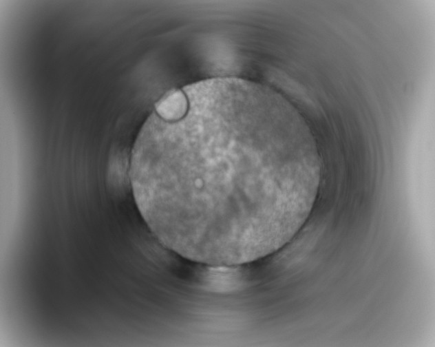 X0000094790240200711301612