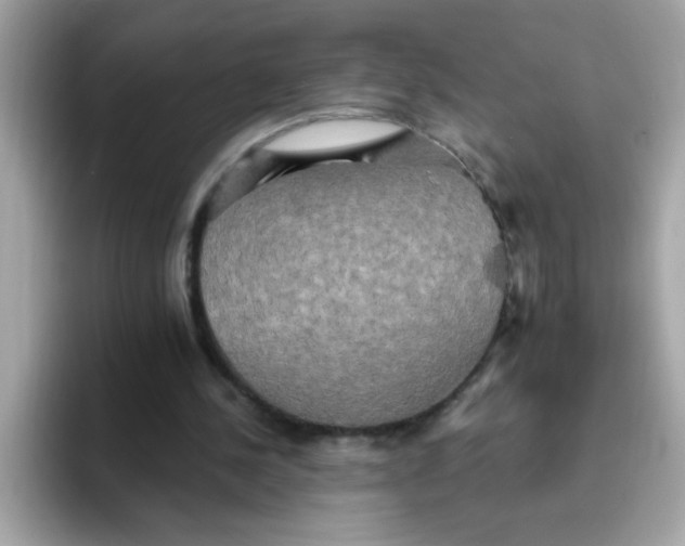 X0000094790244200711301612