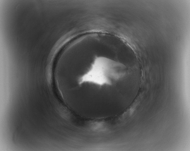 X0000094790247200711301612