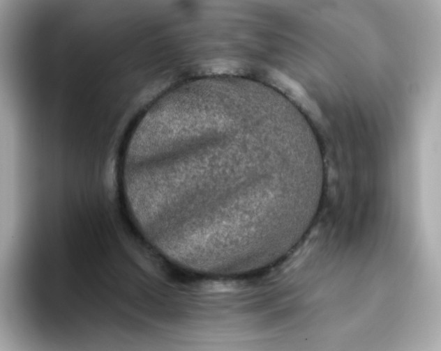 X0000094790250200711301612