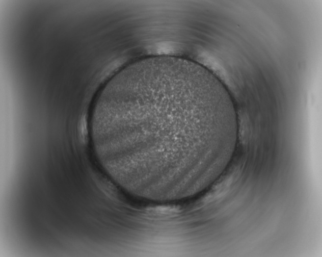 X0000094790251200711301612