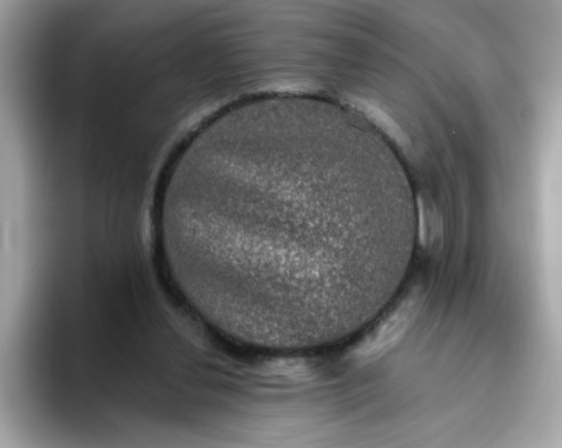 X0000094790252200711301612