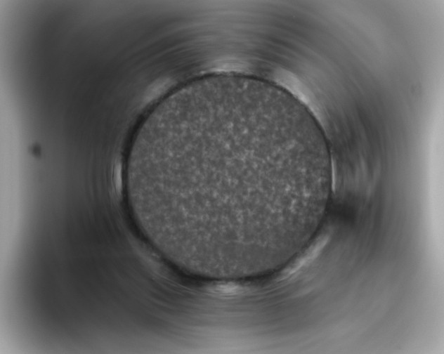 X0000094790253200711301612