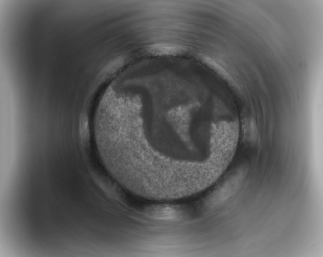 X0000094790254200711301612