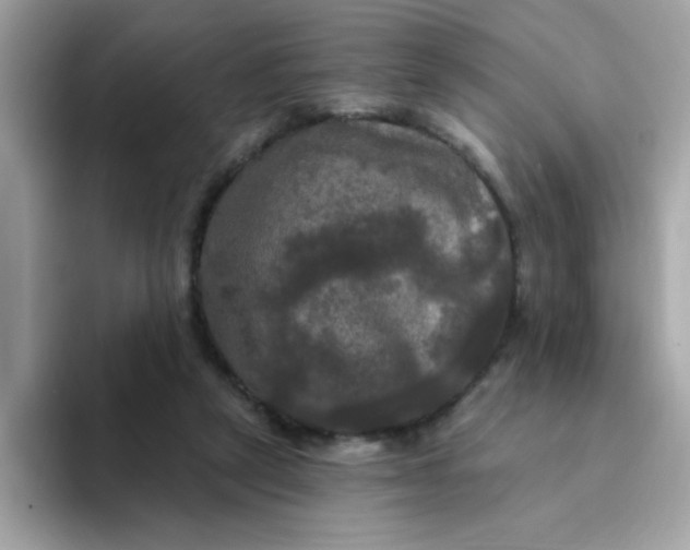 X0000094790257200711301612