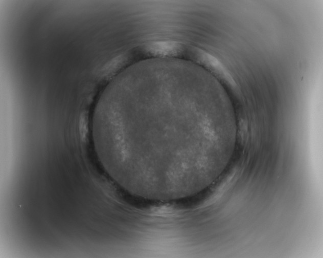 X0000094790259200711301612