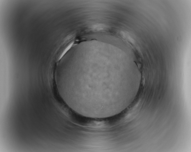 X0000094790260200711301612