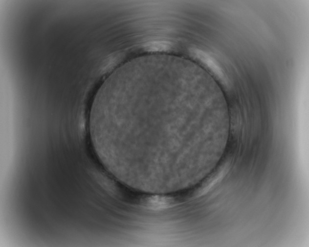 X0000094790261200711301612