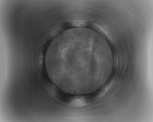 X0000094790263200711301612