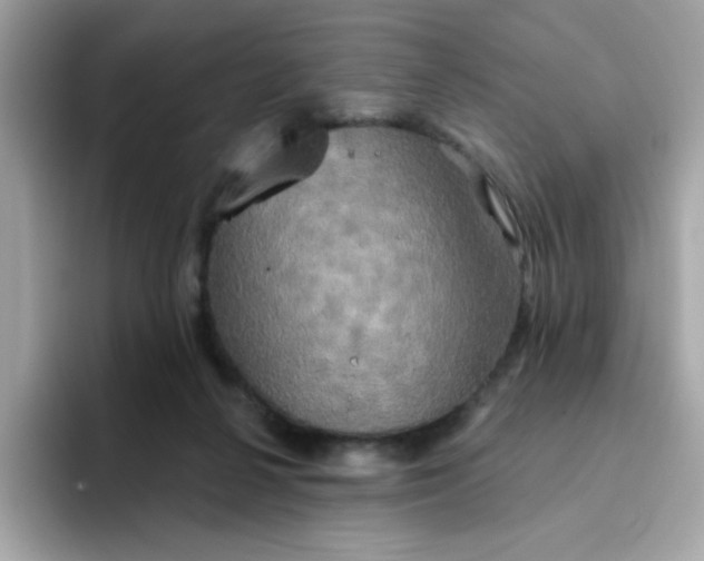 X0000094790264200711301612