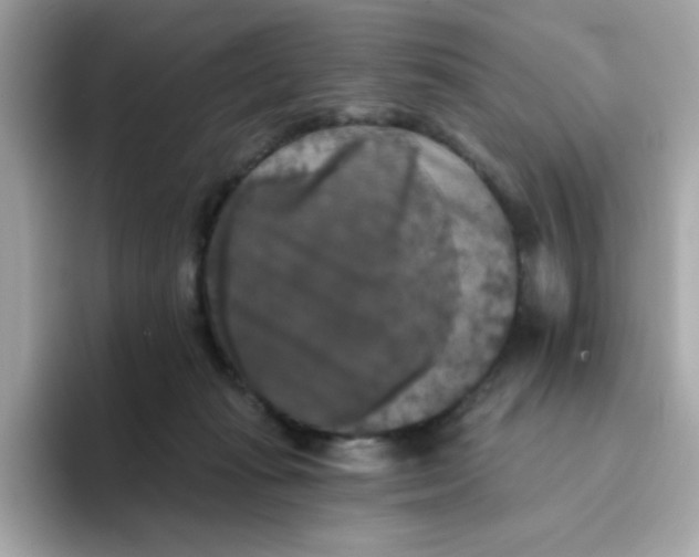 X0000094790269200711301612