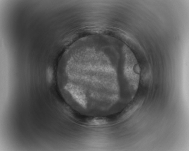 X0000094790270200711301612