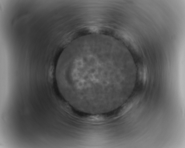 X0000094790275200711301612