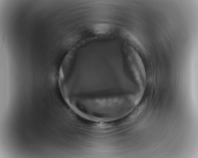 X0000094790277200711301612