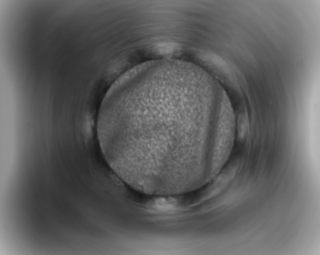 X0000094790279200711301612