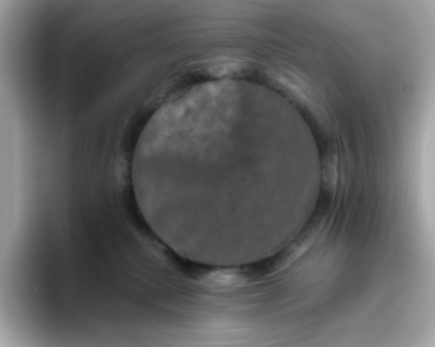 X0000094790280200711301612