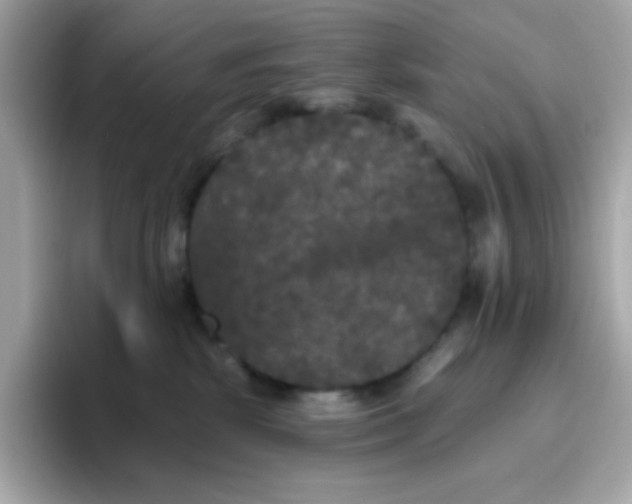 X0000094790281200711301612