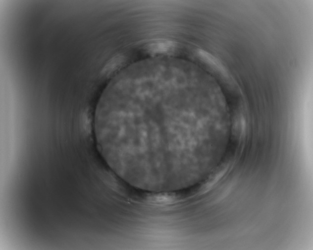 X0000094790282200711301612