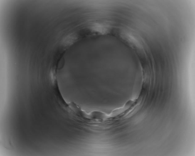 X0000094790285200711301612