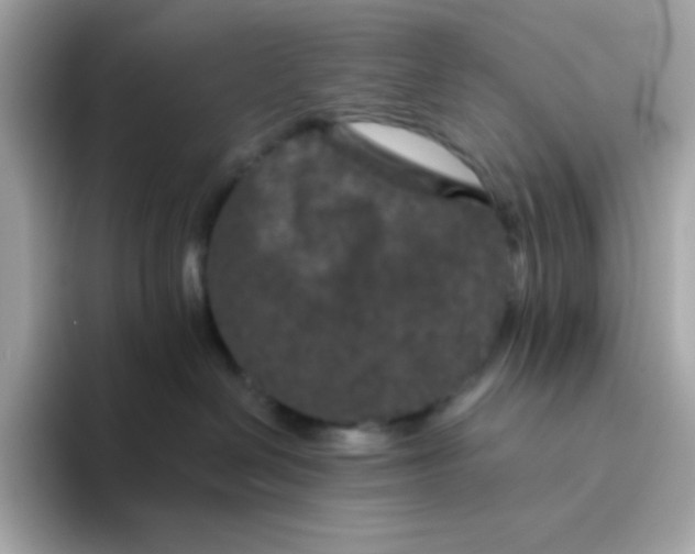 X0000094790286200711301612