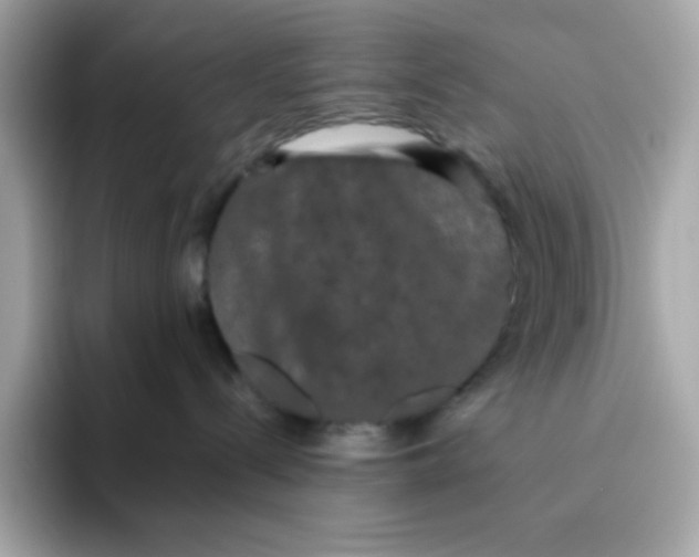 X0000094790288200711301612