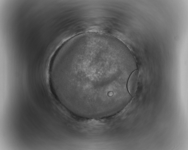 X0000094790290200711301612