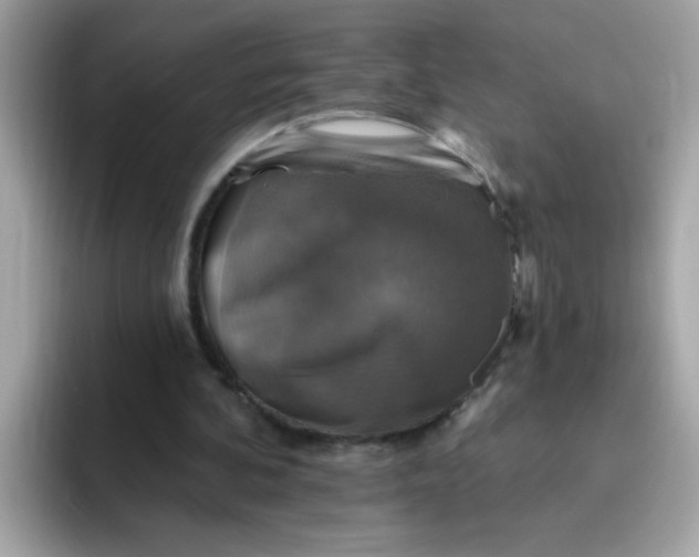 X0000094790292200711301612