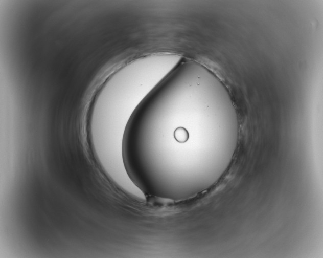 X0000094790293200711301612