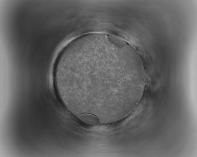 X0000094790294200711301612