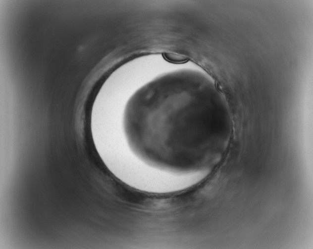 X0000094790295200711301612