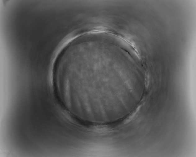 X0000094790296200711301612