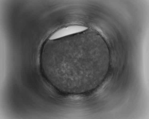 X0000094790299200711301612