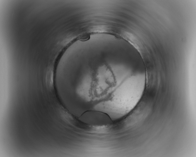 X0000094790301200711301611