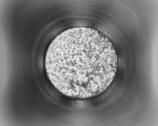 X0000094790302200711301611