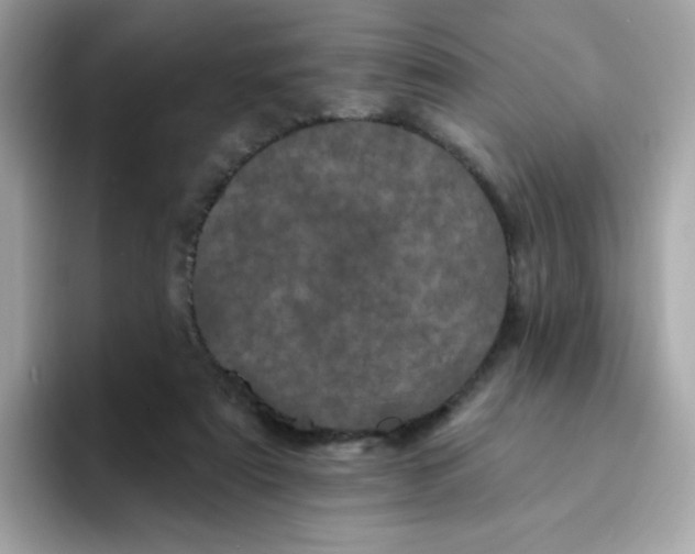 X0000094790307200711301611