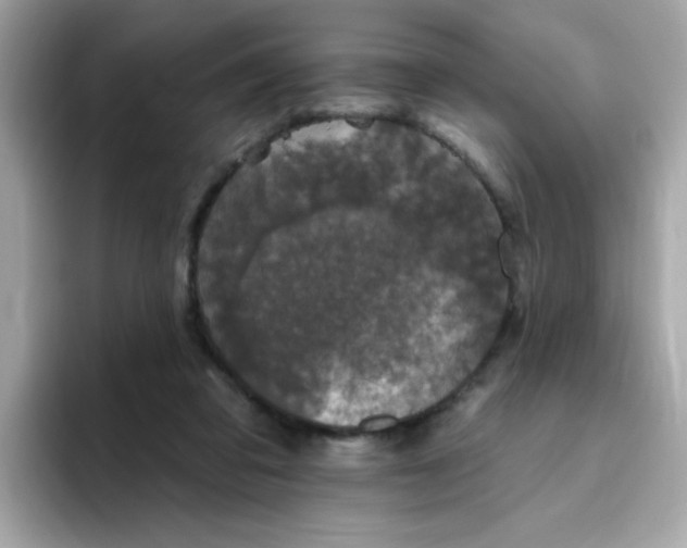 X0000094790309200711301611