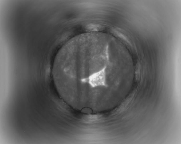 X0000094790314200711301611