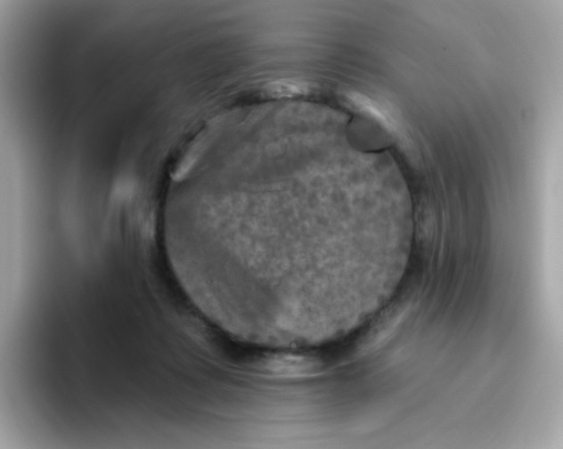 X0000094790315200711301611