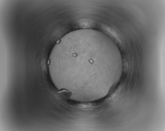 X0000094790317200711301611