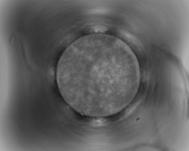 X0000094790321200711301611