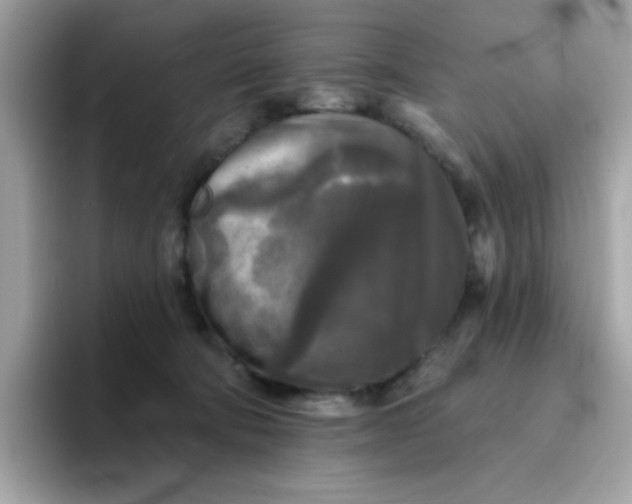 X0000094790322200711301611