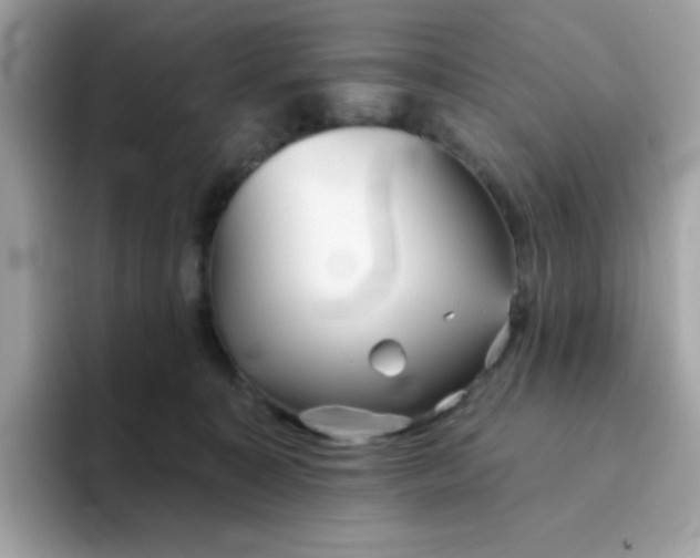 X0000094790323200711301611