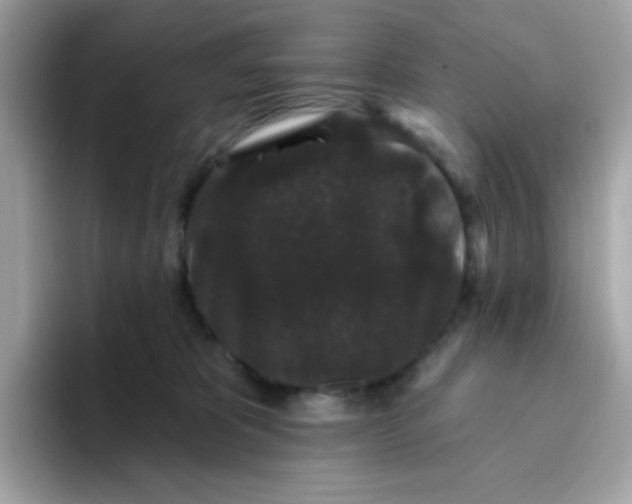 X0000094790325200711301611