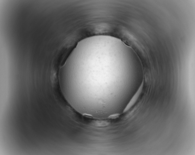 X0000094790327200711301611