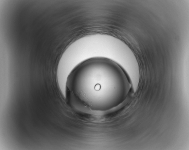 X0000094790328200711301611