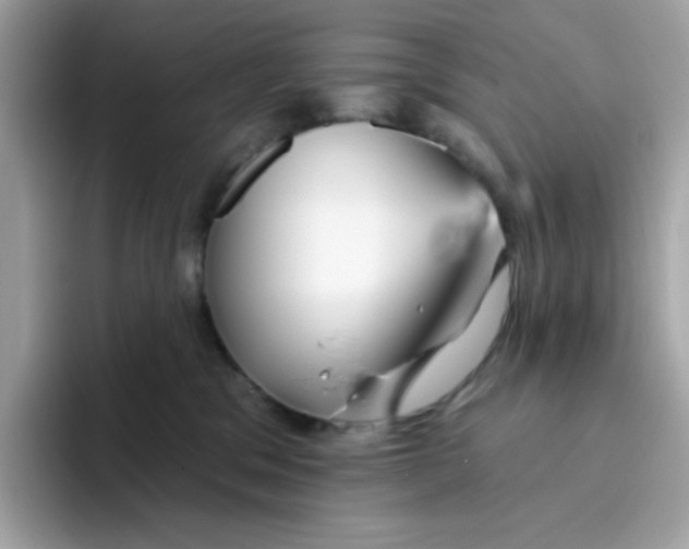 X0000094790329200711301611