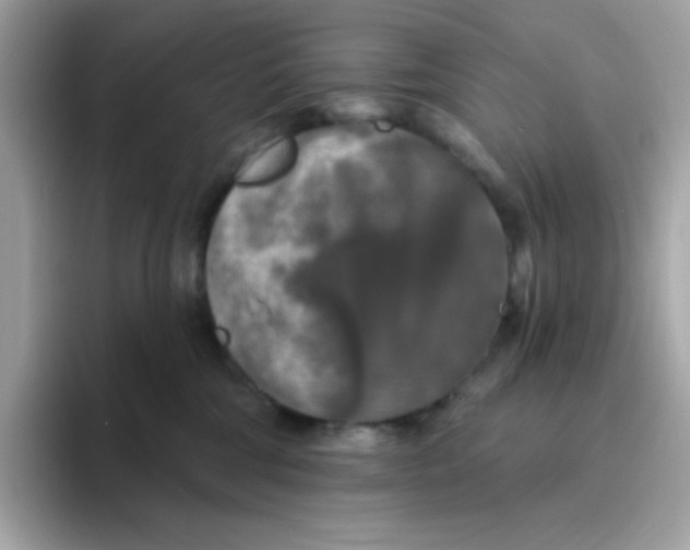 X0000094790330200711301611