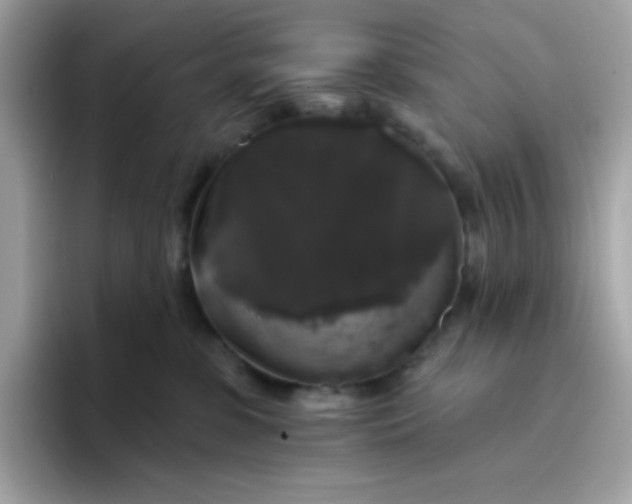 X0000094790331200711301611